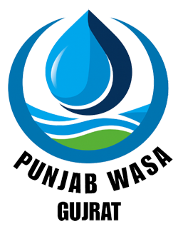 WASA Logo